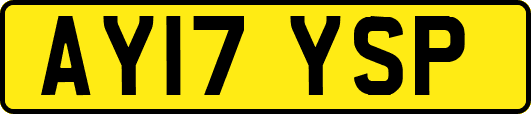 AY17YSP