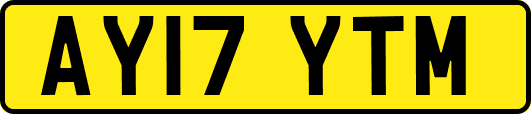 AY17YTM
