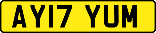 AY17YUM