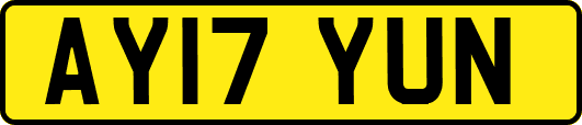 AY17YUN