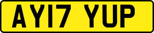 AY17YUP