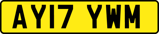 AY17YWM