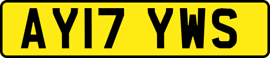 AY17YWS