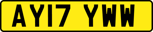 AY17YWW