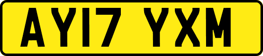 AY17YXM