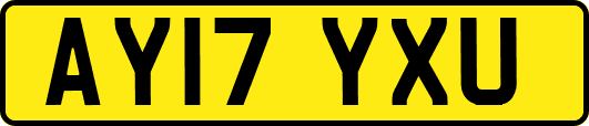 AY17YXU