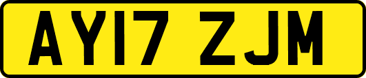 AY17ZJM