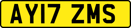 AY17ZMS