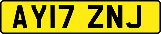 AY17ZNJ