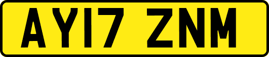 AY17ZNM