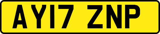 AY17ZNP