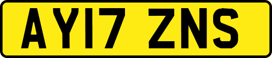 AY17ZNS