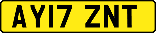 AY17ZNT