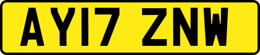 AY17ZNW