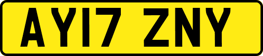 AY17ZNY