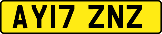 AY17ZNZ