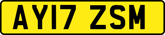 AY17ZSM