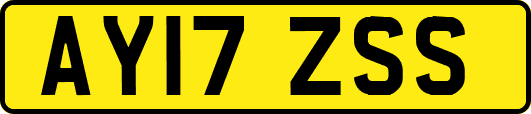 AY17ZSS