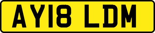 AY18LDM