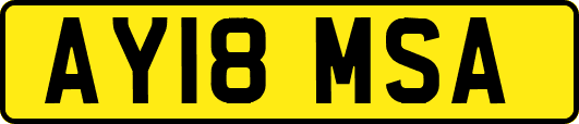 AY18MSA