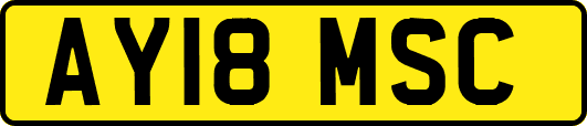 AY18MSC