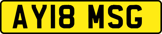 AY18MSG