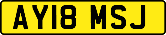 AY18MSJ