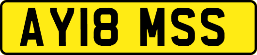 AY18MSS