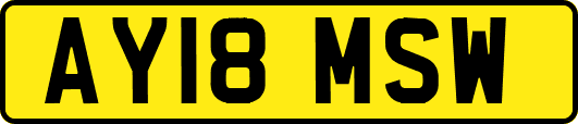 AY18MSW