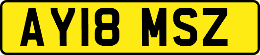 AY18MSZ