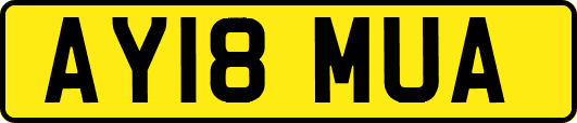 AY18MUA