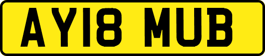 AY18MUB