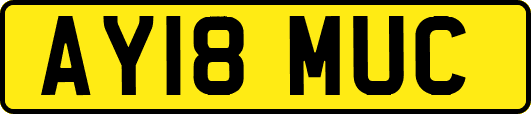 AY18MUC