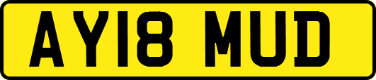 AY18MUD