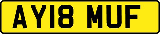 AY18MUF