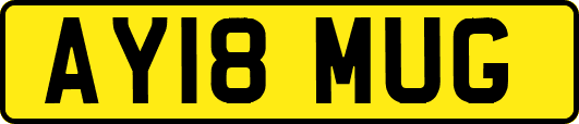 AY18MUG