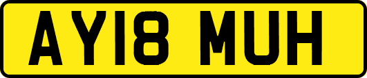 AY18MUH