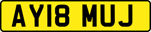 AY18MUJ