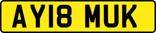 AY18MUK