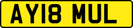 AY18MUL