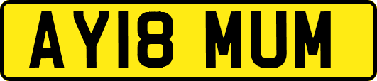 AY18MUM