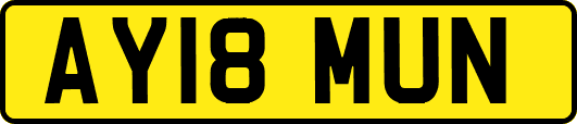 AY18MUN