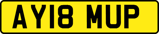 AY18MUP