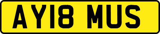AY18MUS