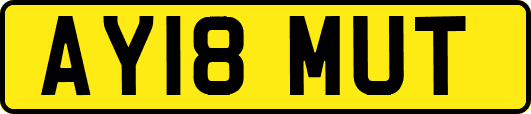 AY18MUT
