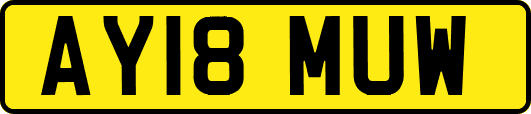 AY18MUW