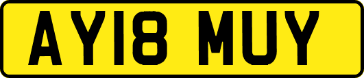 AY18MUY