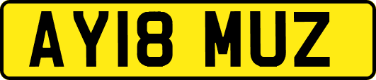 AY18MUZ