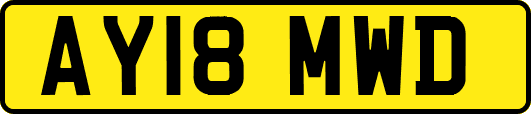 AY18MWD