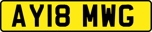 AY18MWG